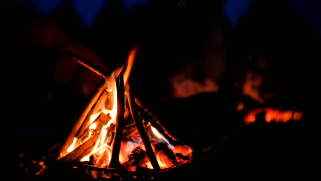 Burning-bonfire-of-dry-branches-in-the-forest-close-up.