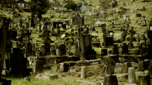 Spooky-field-of-graves-and-headstones
