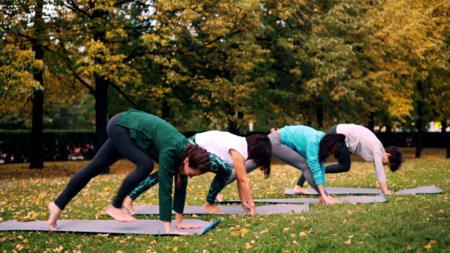 Yoga-class-is-doing-stretching-exercises-in-park-enjoying-autumn-nature,-fresh-air-and-physical-activity.-Well-being,-recreation-and-young-people-concept.