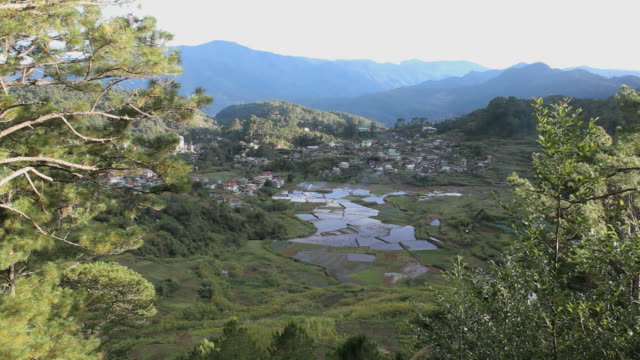 Reisterrassen-von-oben-auf-den-Philippinen
