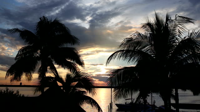 Sonnenuntergang-mit-Palm-Baum-Blätter-Kontur-am-Strand