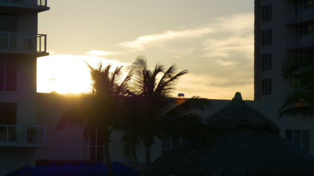 Estados-Unidos-al-atardecer-playa-Miami-souyj-Palma-viento-movimiento-de-4-k,-florida-Vista-del-apartamento