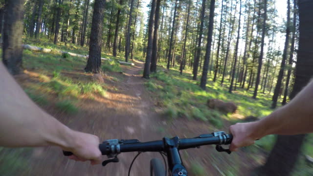 Disfrutando-de-mi-bicicleta-de-montaña-en-el-bosque