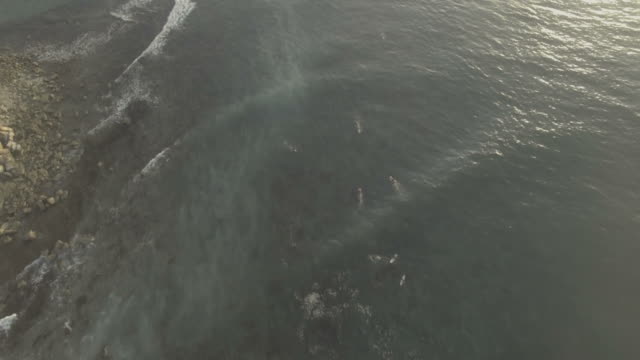 Coastal-Surfer-im-Sonnenuntergang-Antennen
