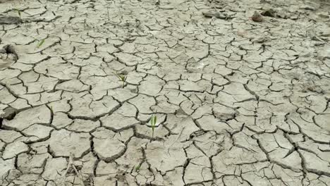 Dry-lake-with-natural-texture-of-cracked-clay