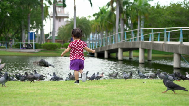 Niña-linda-tratando-de-atrapar-a-las-palomas-en-el-parque.