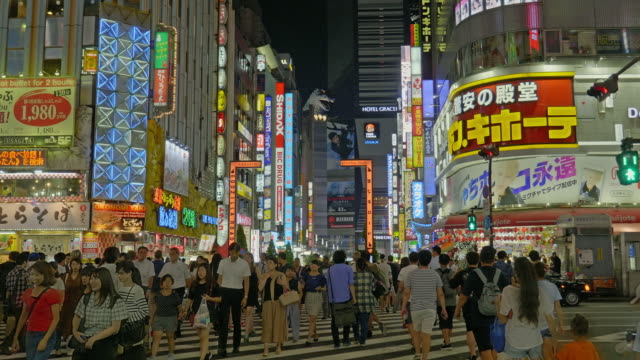 Eine-Menge-Leute-in-Shinjuku-Gegend-in-der-Stadt-Tokio-Japan