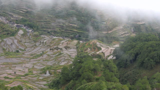 Reisterrassen,-gefilmt-von-oben-in-einem-Tal