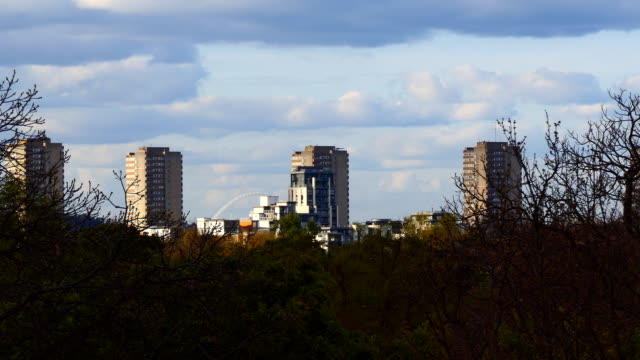 London-Baumkrone-Ansicht