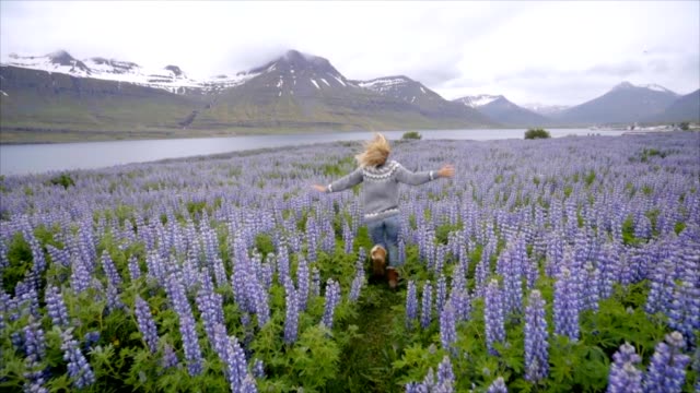 Junge-Frau-läuft-in-lupine-Blumenfeld-in-Island-Leben-ein-glückliches-Leben-und-genießen-Urlaub-im-nördlichen-Land-Slow-Motion-video-Menschen-Reisen-Spaß-Konzept