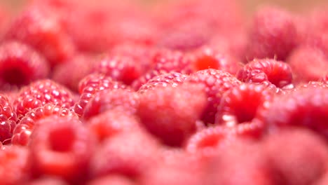Fresh-sweet-raspberries-in-a-box.-Ripe-raspberry-fruit-background