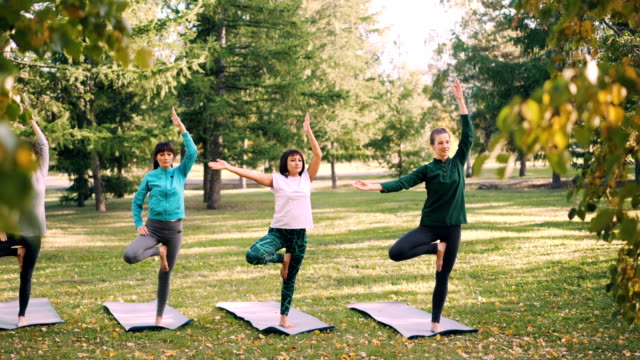 Mujer-joven-delgada-está-haciendo-variaciones-de-la-pose-del-árbol-durante-la-clase-de-yoga-al-aire-libre-en-Parque-de-relajarse-y-disfrutar-de-la-naturaleza-y-la-actividad.-Concepto-de-salud-y-deportes.