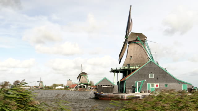 Cañas-de-viento-y-molinos-de-viento-en-zaanse-schans-cerca-de-amsterdam