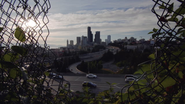 Seattle-Skyline-View-Gimbal-Push-Through-Fence-Hole