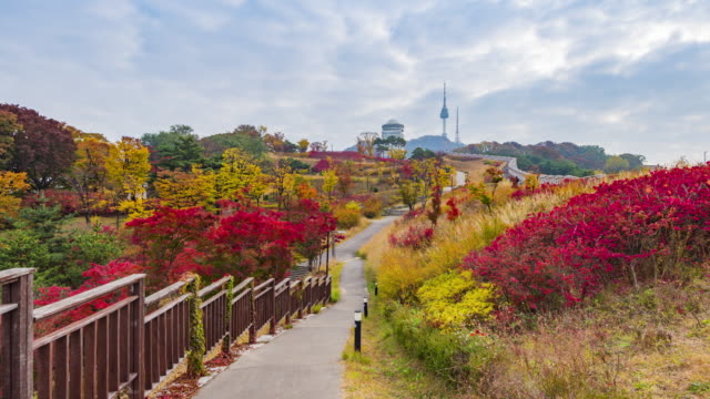 Otoño-en-la-ciudad-de-Seúl,-lapso-del-sur-Korea.Time