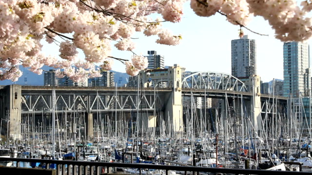 Burrard-Street-Bridge,-Vancouver-Spring