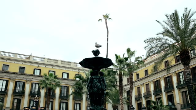 Seagull-is-Sitting-on-The-Fountain-Place-Reial