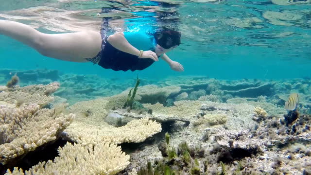 A-woman-snorkeling-on-the-coral-reef-of-Mauritius
