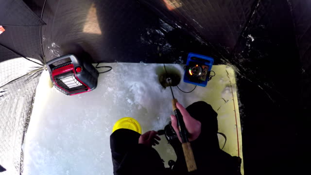 Pescador-de-hielo-pesca-en-carpa