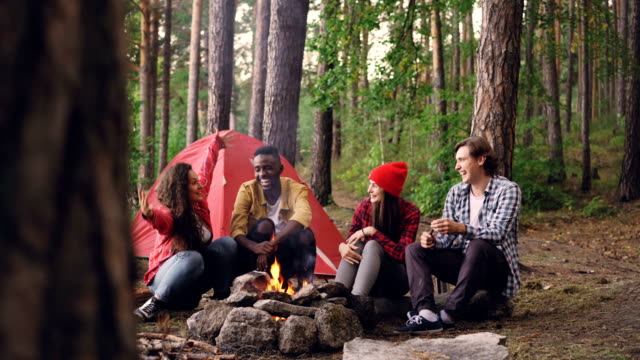Happy-girls-and-guys-friends-are-talking,-gesturing-and-laughing-resting-around-fire-getting-warm-at-campsite.-Conversation,-nature-and-people-concept.