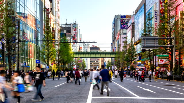 TOKYO,JAPAN-Pedestrians-walking-and-shopping-at-akihabara-district.
