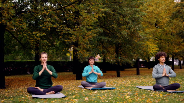 Hübsche-Frauen-sind-entspannend-im-Lotussitz-auf-Yoga-Matten-im-Park-sitzen-und-frische-Atemluft,-ruhen-Sie-sich-nach-außen-Gemeinschaftspraxis.-Meditation-und-Natur-Konzept.
