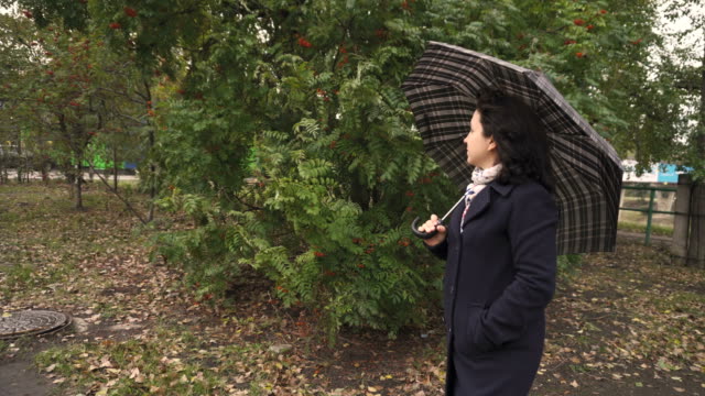 Girl-in-coat-with-umbrella-on-green-tree