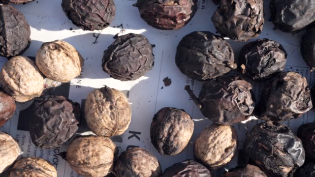 Walnuts-that-have-been-put-to-dry