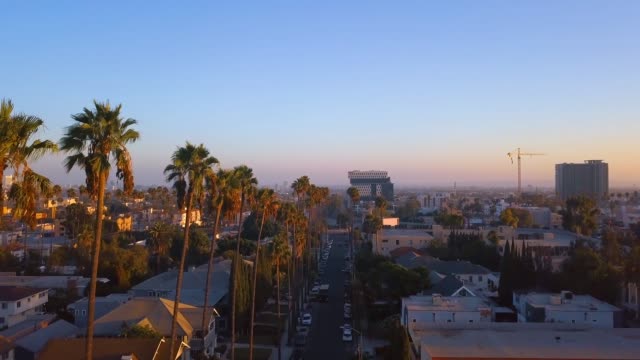 Am-schönen-Los-Angeles-Bezirk-mit-langen-Palmen-an-der-Seite-der-Straße.