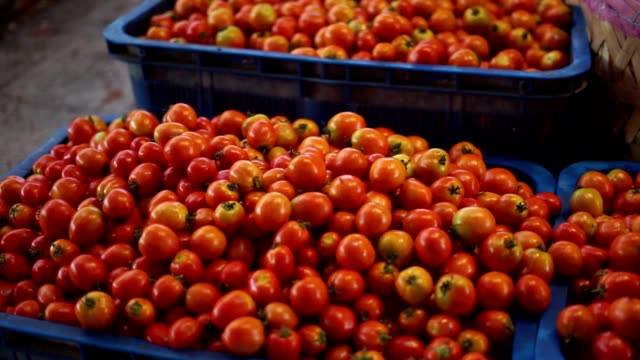 Pile-of-organic-Tomatoes-for-sale-at-traditional-vegetables-market