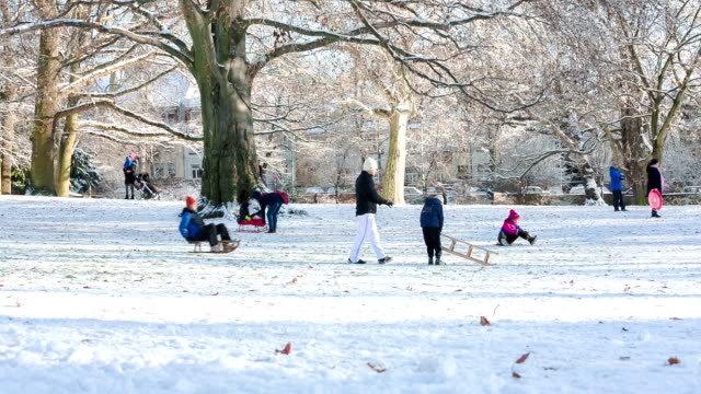kids-with-sledge-in-park