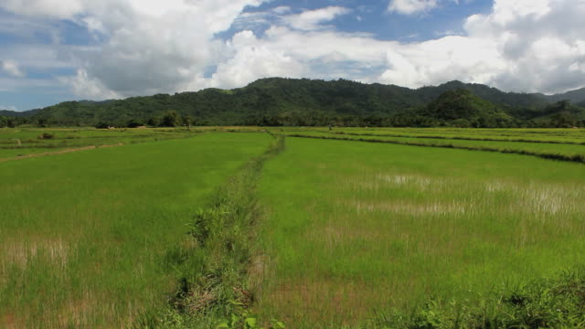 Rice-terraces-en-Filipinas