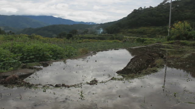 Wasser-Reflexion-auf-Reis-Felder-aus