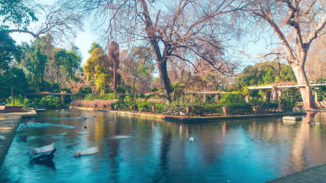 Sevilla-Tageslicht-Park-und-den-Teich-mit-Vögeln-4-k-Zeitraffer-Spanien