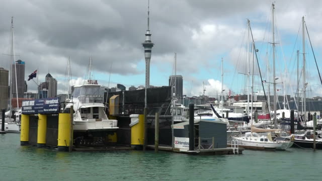 Westhaven-marina-gegen-die-skyline-von-Auckland,-Neuseeland