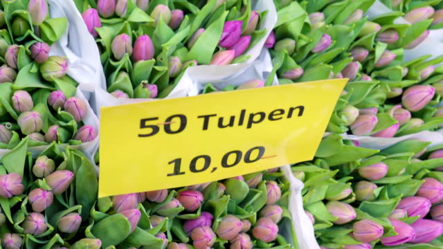 Tulips-packed-in-50s-for-sale-in-the-flower-market