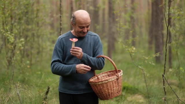 A-mature-man-with-basket-in-the-forest-holds-in-his-hands-several-mushrooms.