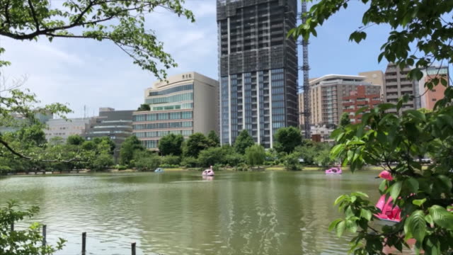 Shinobazu-Pond-in-Tokyo
