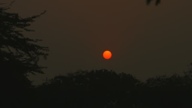 Gesperrt-Aufnahmen-von-Bäumen-bei-Sonnenuntergang