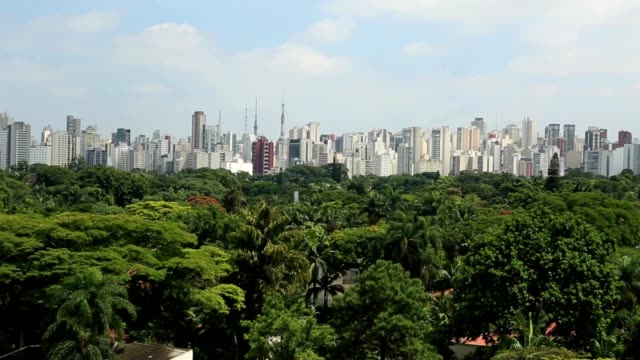 Grün-Blick-auf-Metropolitan-Stadt-Sao-paulo