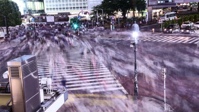 Tokyo,-Japan.-Nighttime-Timelapse-of-people-walking-the-Shibuya-crossing-during-the-night
