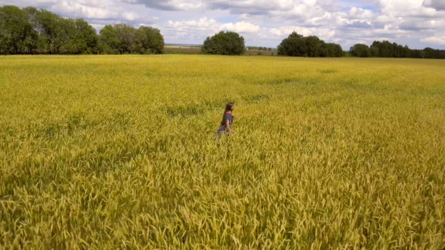 Young-girl-in-the-wheat-field.Aerial-video