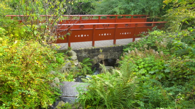 Stream-and-Bridge-in-Royal-Botanic-Garden-of-Edinburgh