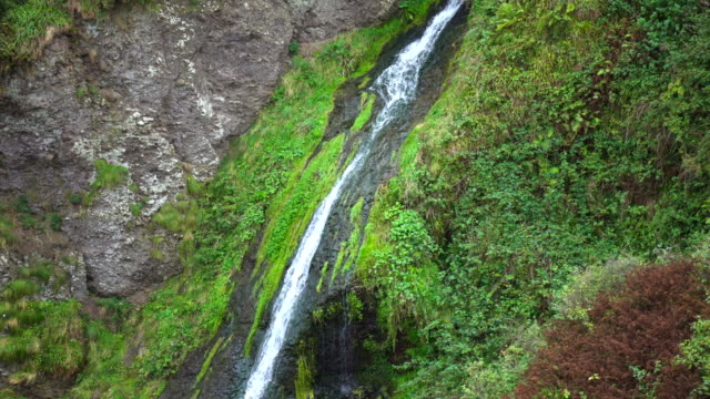 Wasserfall-im-Wald-