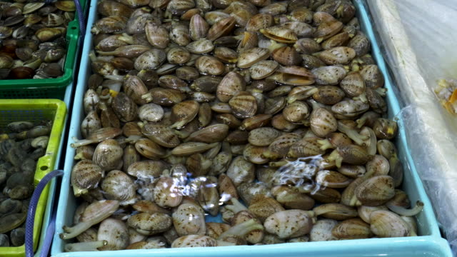 close-up-of-live-clams-at-chun-yeung-market-in-hong-kong