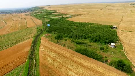 Luftaufnahme-von-Weizen-Feld-und-Dorf,-Xi-\'-an,-China.