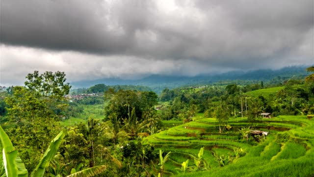 Rice-terrace-and-moody-clouds-time-lapse
