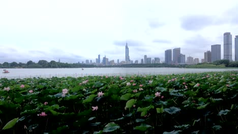 Rascacielos-de-la-ciudad-moderna-de-Nanjing-con-agua-del-lago-de-Xuanwu-de-la-ondulación