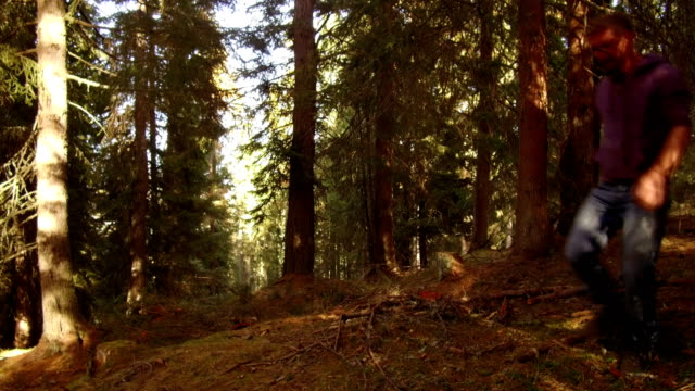 árboles-de-leñador-en-Alta-Badia,-Dolomitas