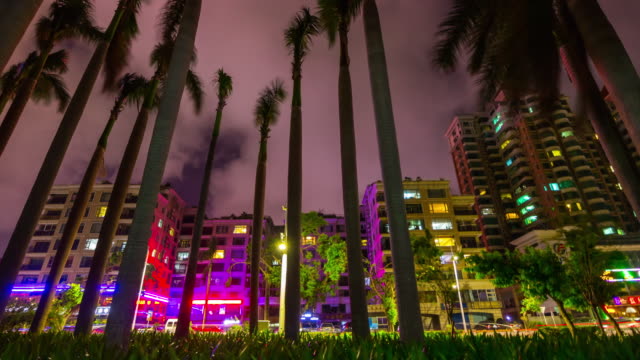 Nacht-Neonlicht-beleuchteten-Zhuhai-Stadt-Palm-Straßenansicht-Bucht-Panorama-4-k-Zeit-hinfällig,-china